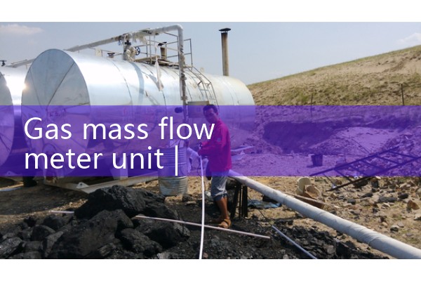 Gas mass flowmeter unit